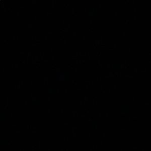 Meet your Posher, Palmer